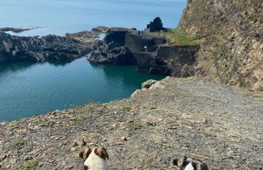 Adorable bedsit for you, partner and your pet! - Foto 46