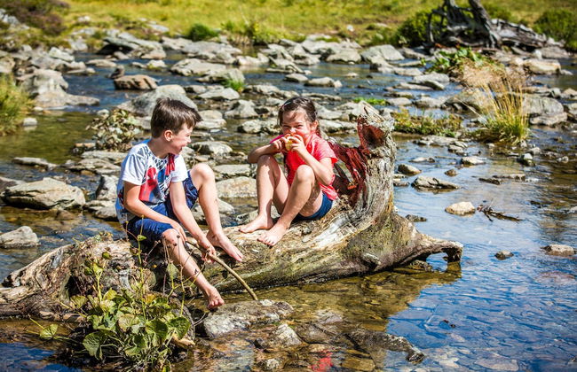 Ferienhaus Schmiedgut - Foto 13