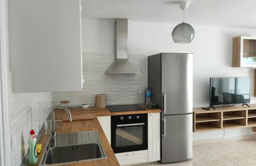 Flor De Cactus - Foto 20