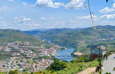 Quinta de Sobre a Fonte Charming Apartments - traditional winery - Foto 77