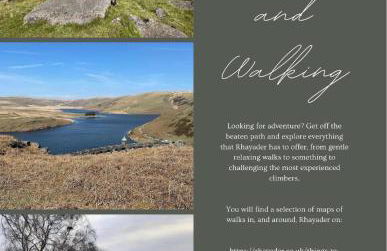 Ty Ray Penmaes - Foto 19