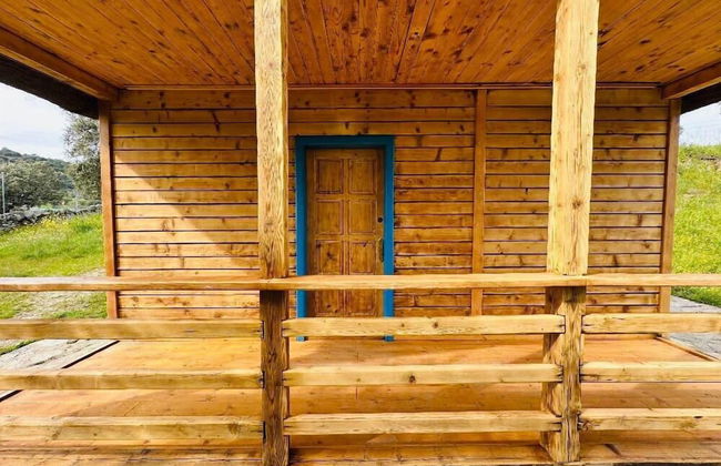 Hamlet's Friends - Foto 37