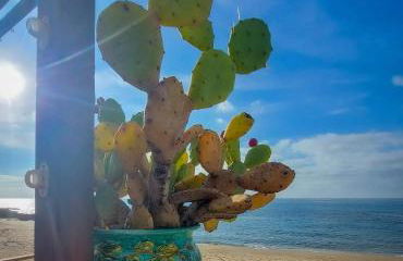 Appartamento LA COFFA (tecnica tradizionale di pesca locale) - Foto 38