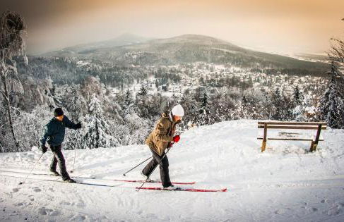 Ferienwohnung 60er Jahre Design Apartment - 65qm Fewo im Zittauer Gebirge - familienfreundliche Unterkunft am Bergfuß zum Töpfer - Foto 32