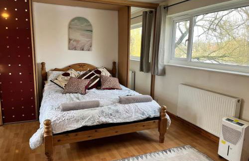 Riverside Studio - Foto 29