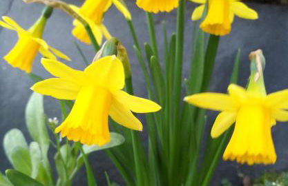 La Cabana´l Cachican - Foto 72