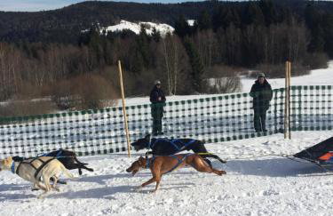 Ferienwohnung mit Charme I - Foto 14