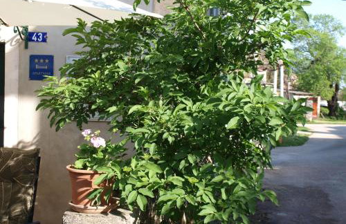 Apartment Krnica N43 - Photo 22