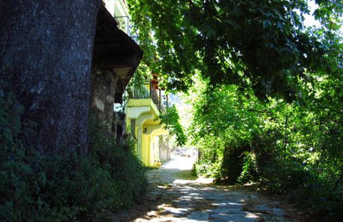 Domus Polymnia, hospitality at its best! - Foto 12