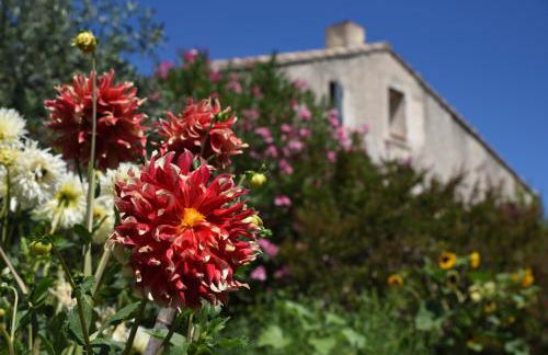 Gite Les Lavandes - Photo 66