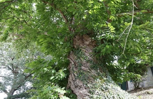 Agriturismo Casale Le Crete - Photo 38