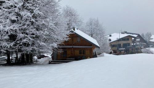 CHALET 6 PERSONNES SUR PISTE - Foto 3