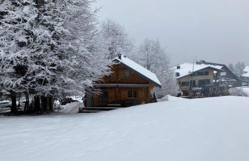 CHALET 6 PERSONNES SUR PISTE - Foto 3