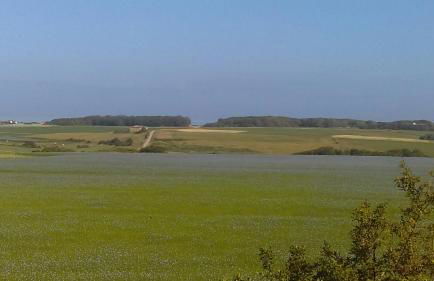 la clef des champs - Foto 16