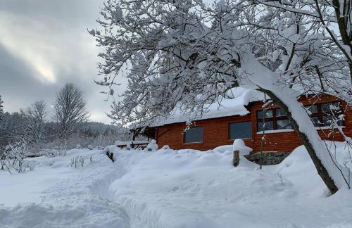 Pod Srebrzystym Świerkiem - Jacuzzi - Foto 49