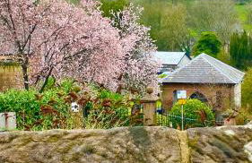 Chapel Row Cottages 5 - Foto 9