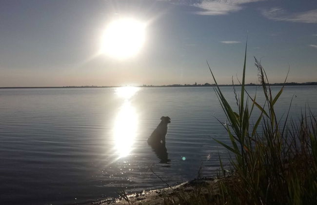 Garten-ferienwohnung in Laendlicher Idylle - Foto 15