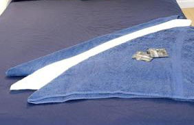 Appartement de charme Toulouse nord - Photo 6