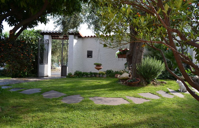 Azienda Agrituristica Villa Arianna - Photo 29