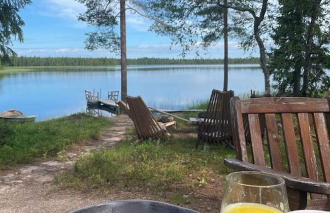 Metsä Kolo - Photo 47