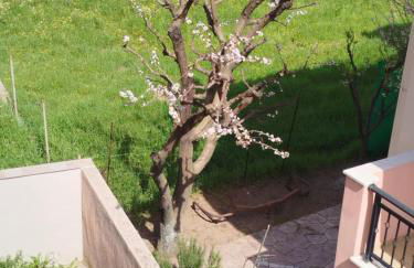 ANNA DANIIL New Apartment in Arisvi - Kalloni - Foto 22