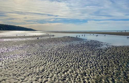 GÎTE DE LA MUSARDE - Photo 23