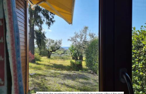 Ktirakia Studios - Foto 25