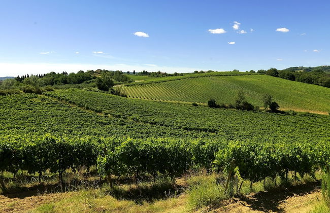 Farmhouse in Tuscany With Pool & Wine Tasting - Foto 23