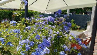 Berto's house tra mare e laguna - Foto 4, Garden