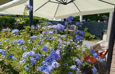 Berto's house tra mare e laguna - Foto 4