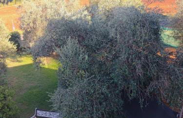 Agriturismo la Canonica - Foto 9