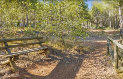 Penthouse Isla de Altea - Photo 25