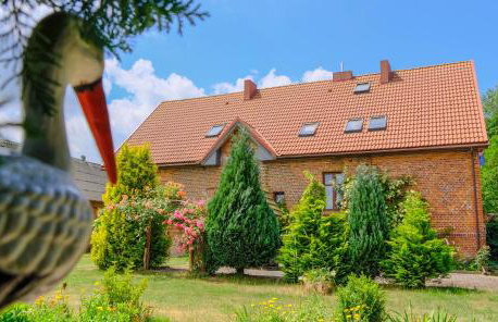 Chata na końcu świata - Foto 10