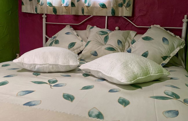 Lo Racó de Peret - Foto 35