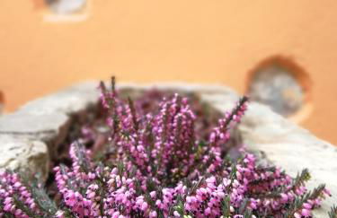 La Corte dell'Angelo - Foto 23