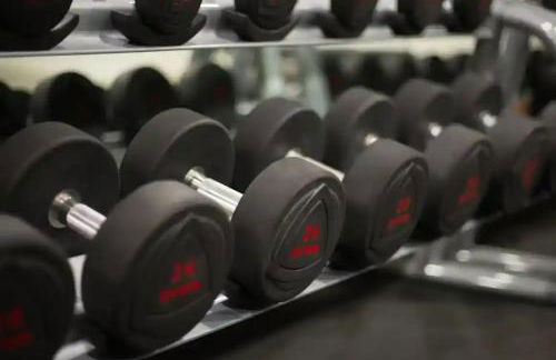 Casita De Cuervo at Shorefield Park - WIFI - Pet Friendly - Passes Included - Photo 43