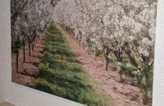 Ruhige zentral gelegene Fewo für Monteure in Ingelheim am Rhein - Foto 1