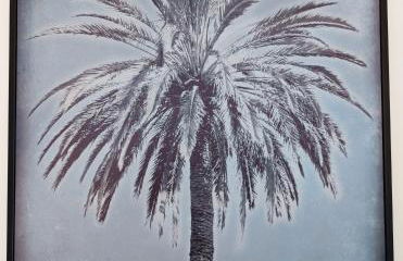 Superbe cocon 3 étoiles -plein sud- parking- proche village et plages - Foto 11