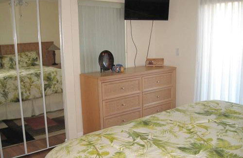 Florida Condos on Lake Tarpon - Foto 32