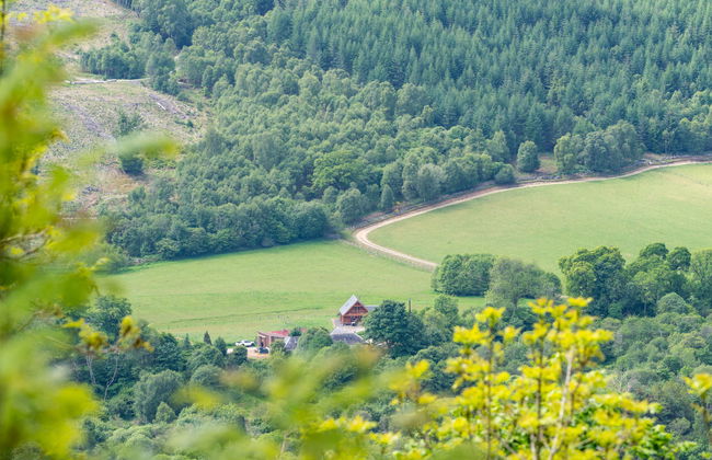 Achmony Green - Foto 30