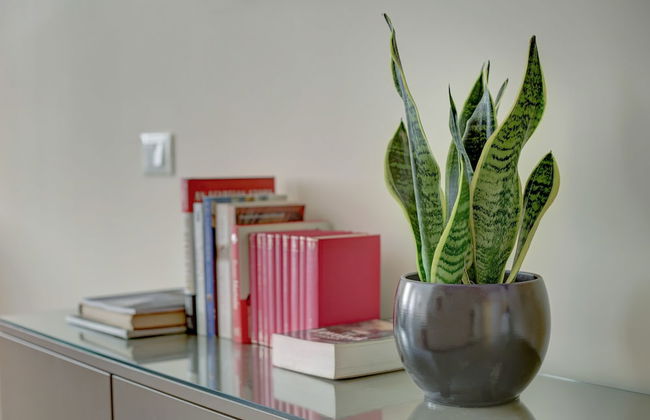 Colosseo Gardens - My Extra Home - Foto 59