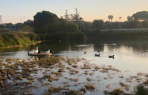 Casa Valerio - Foto 37