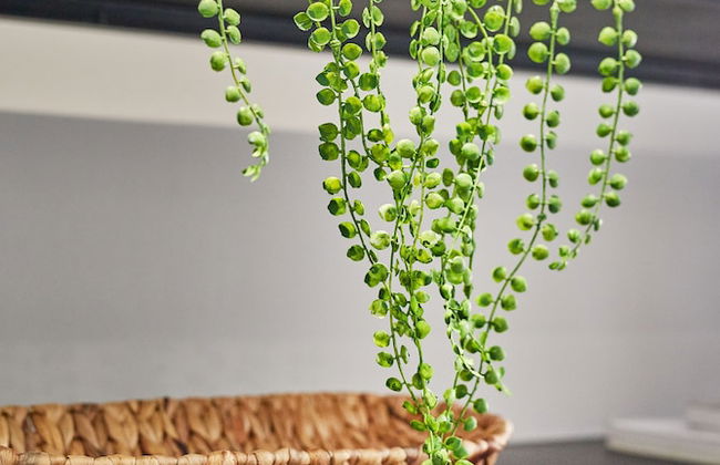 Designer City Centre Apartment - Foto 47