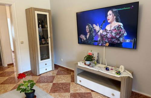 La Casa del Flamenco - Foto 14