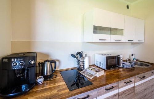 Centrum Spokoju - Domki w Karkonoszach - Foto 13