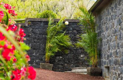 Quinta do Torcaz - Foto 91