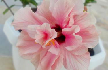 Lunamora 4 - Foto 51