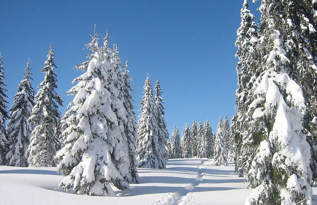 Hittenpichl "st. Christoph" - Foto 22