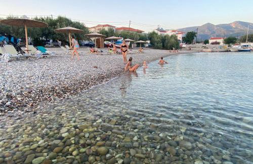 Pantheon Apartments & Studios - Photo 82