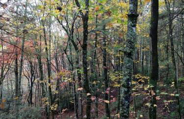 Sky Valley Casa Dolce Vita - Foto 19